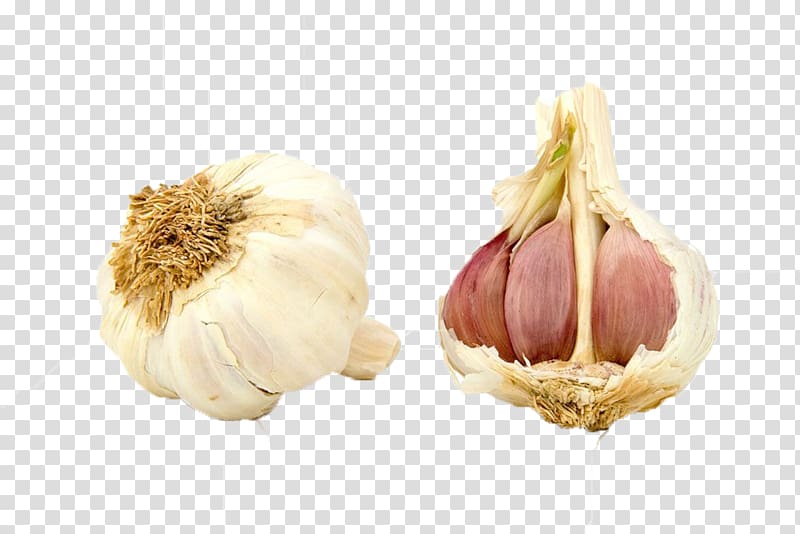 Organic food Dietary supplement Garlic Vegetable, 2 garlic transparent background PNG clipart