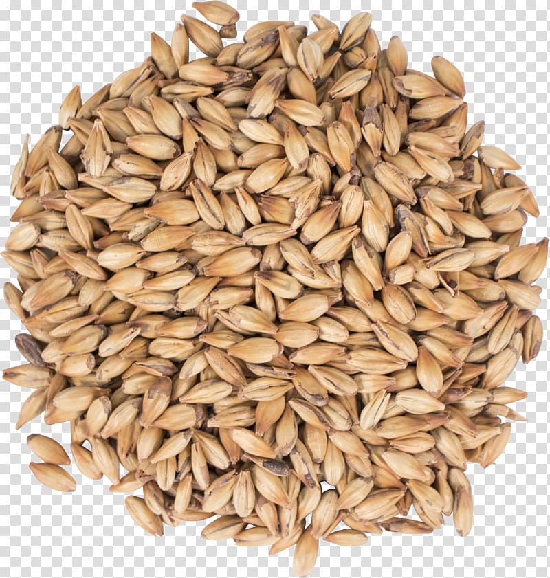 Oat Beer Cereal Malt Spelt, beer transparent background PNG clipart