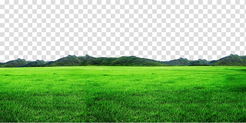 green grass border texture transparent background PNG clipart