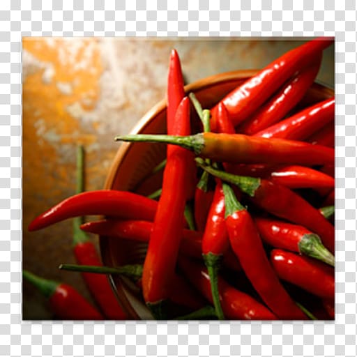 Chili pepper Cayenne pepper Capsaicin Bell pepper Black pepper, black pepper transparent background PNG clipart