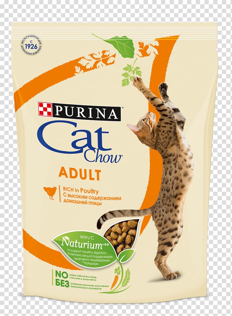 Cat Food Kitten Pet food Nestlé Purina PetCare Company, Cat transparent background PNG clipart