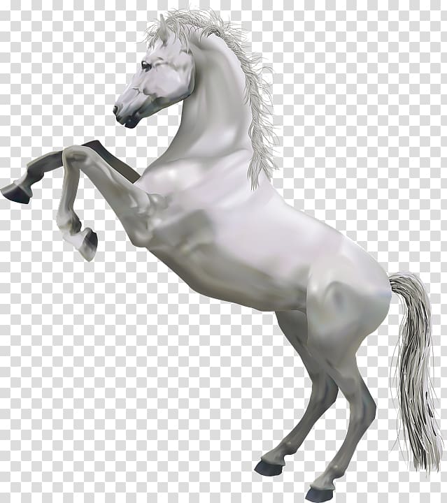 Horse , Creative element gray horse transparent background PNG clipart