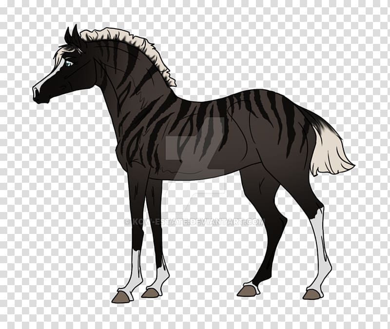 Thoroughbred Dutch Warmblood Horse Tack Equestrian Black, others transparent background PNG clipart
