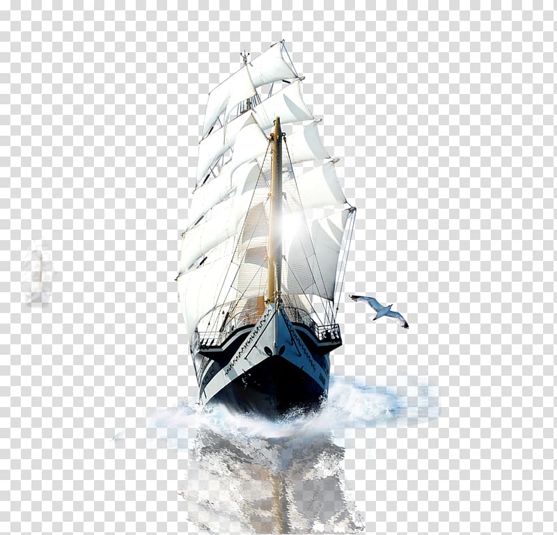 Bidet shower Company Manufacturing, Offshore Sailing transparent background PNG clipart