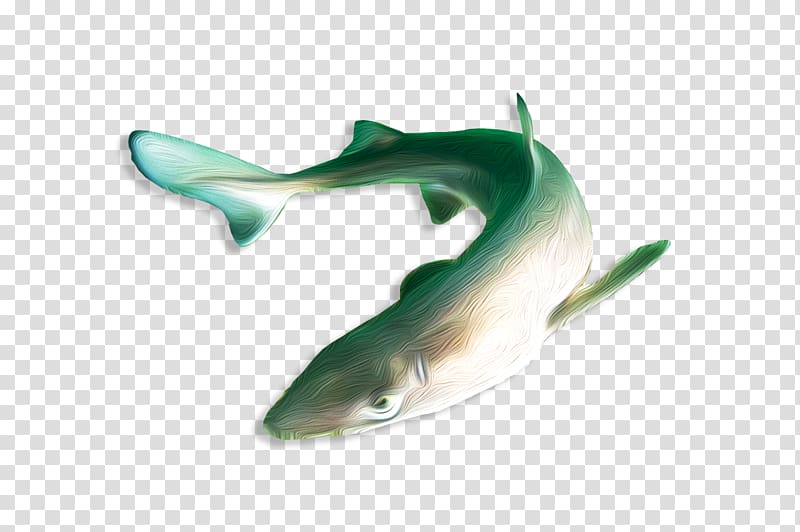 Squaliform sharks Porpoise Marine biology Fauna, Kamov Ka25 transparent background PNG clipart