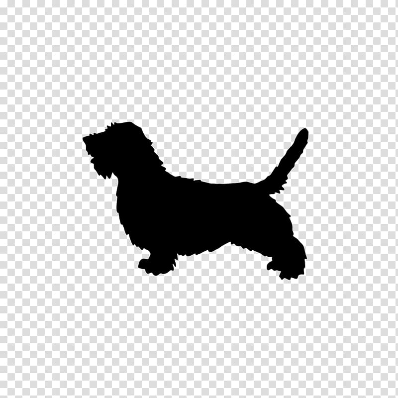 Petit Basset Griffon Vendéen Puppy Cardigan Welsh Corgi Basset Hound Grand Basset Griffon Vendéen, puppy transparent background PNG clipart
