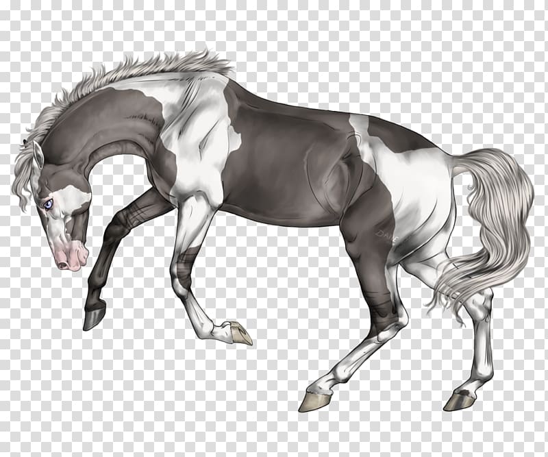 Mane Stallion Mustang Halter Mare, mustang transparent background PNG clipart