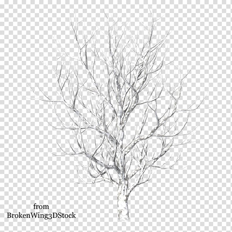 Winter Tree Drawing Snow, twigs transparent background PNG clipart
