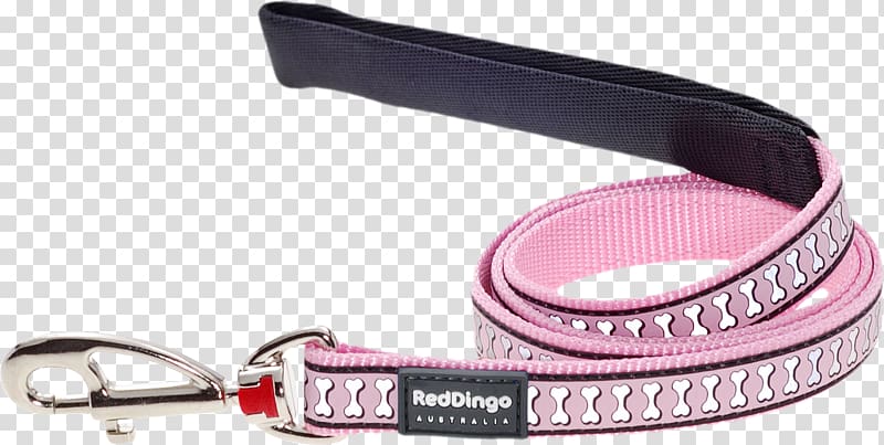 Leash Dog collar Dingo Pet, Dog transparent background PNG clipart