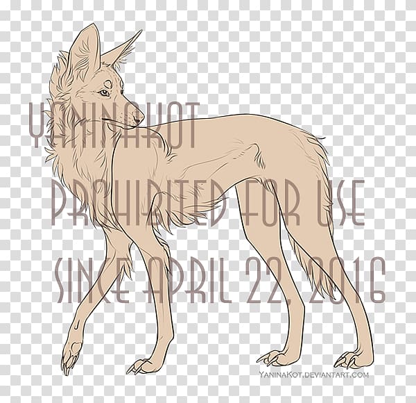 Dog breed Maned wolf Line art, dog transparent background PNG clipart