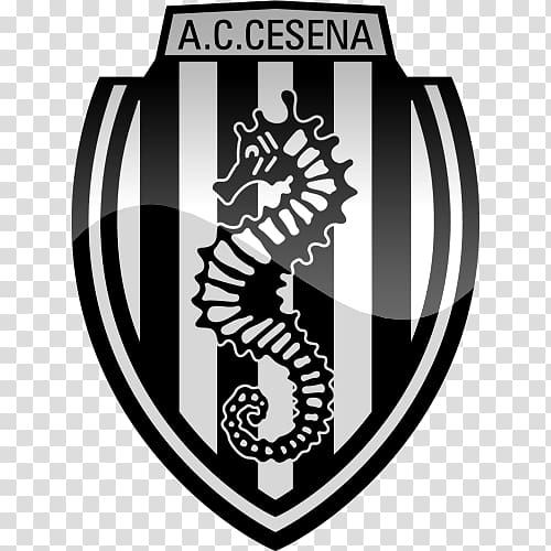 A.C. Cesena under-19 Venezia FC Brescia Calcio Football, football transparent background PNG clipart