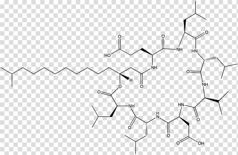 Surfactin Hay bacillus Biosurfactants Lipopeptide Antibiotics, Hydrophobe transparent background PNG clipart