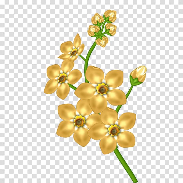 yellow petaled flowers , Flower , Yellow Flower transparent background PNG clipart