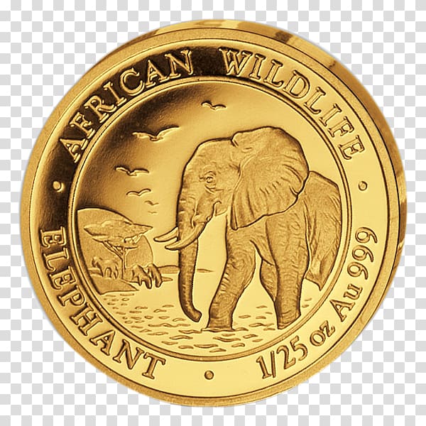 Gold coin Gold coin African elephant Indian elephant, Coin transparent background PNG clipart
