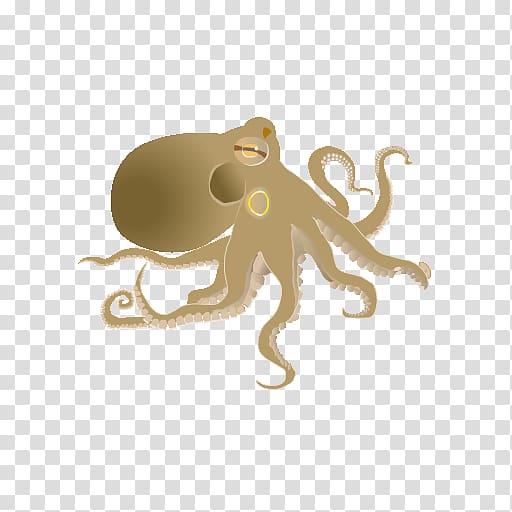 Octopus Cephalopod Cartoon, skys transparent background PNG clipart