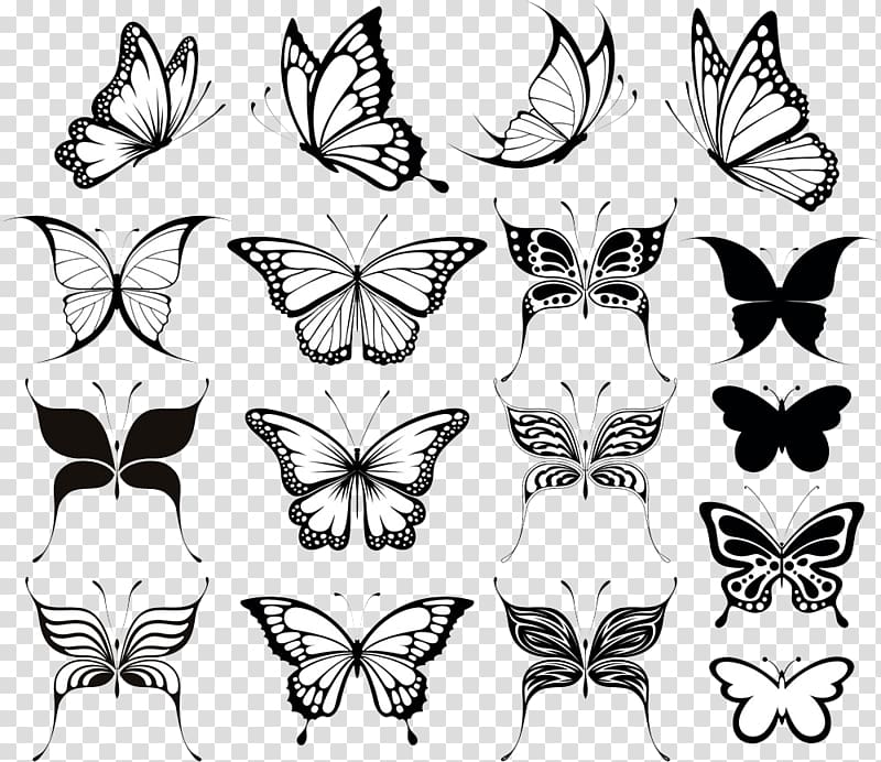 Black butterflies Drawing butterfly  Stock Illustration 62010025   PIXTA