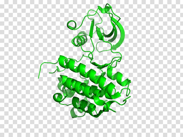 Ephrin receptor EPH receptor A5 EPH receptor A4, others transparent background PNG clipart