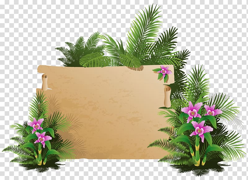 , Summer Exotic Board , beige board with sago plant transparent background PNG clipart