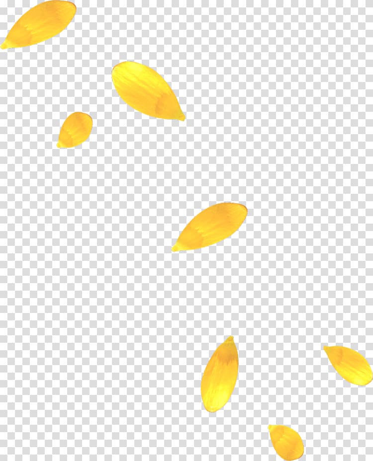 Petal Yellow , Golden leaves float transparent background PNG clipart