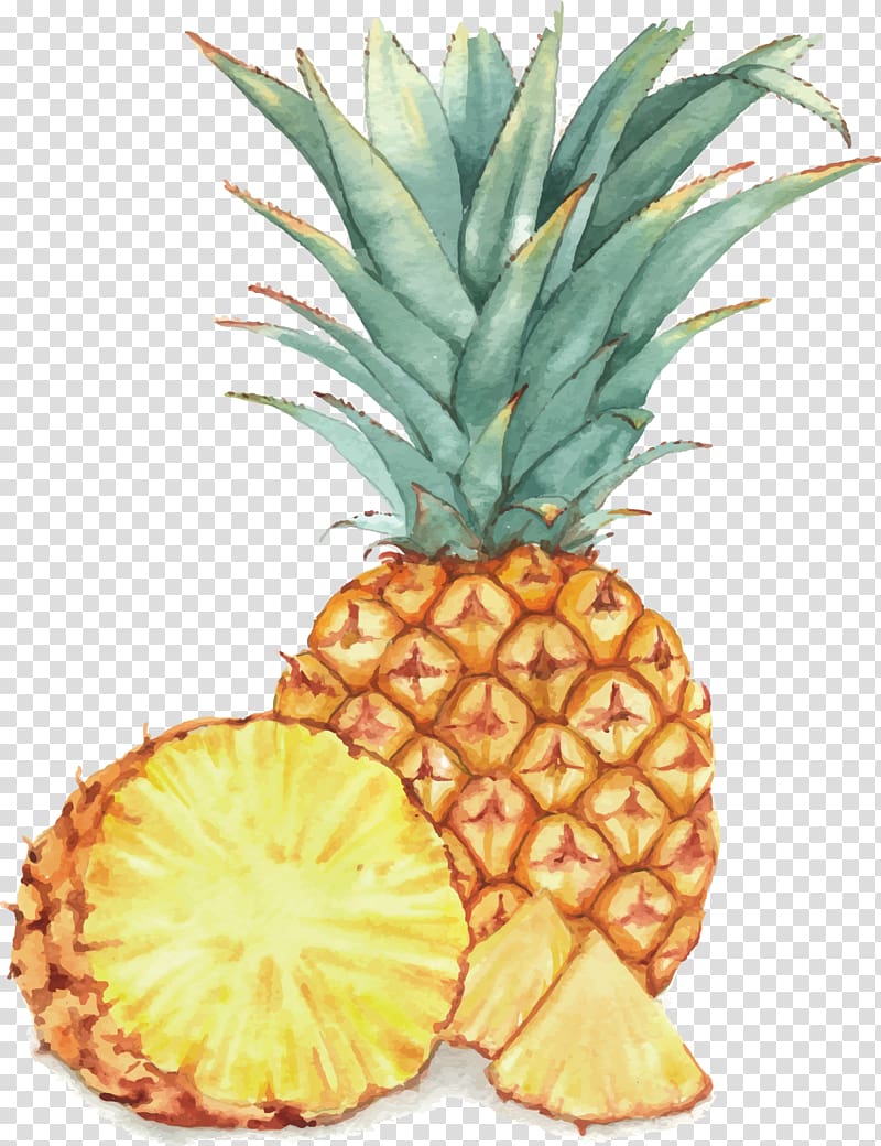 pineapple illustration, Watercolor painting Fruit Drawing Illustration, Pineapple material transparent background PNG clipart