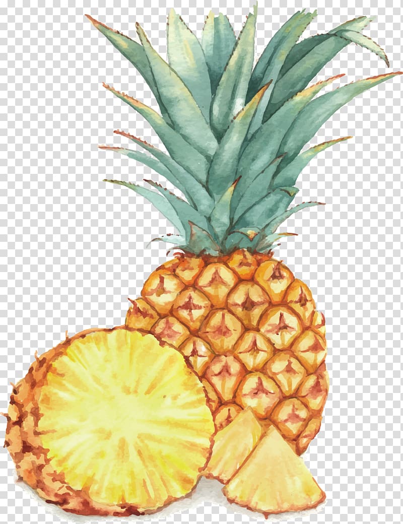 Download Pineapple illustration, Watercolor painting Fruit Drawing ...