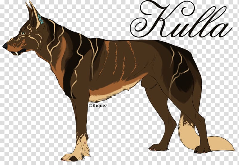 Dog breed Indian pariah dog Horse, HORS transparent background PNG clipart