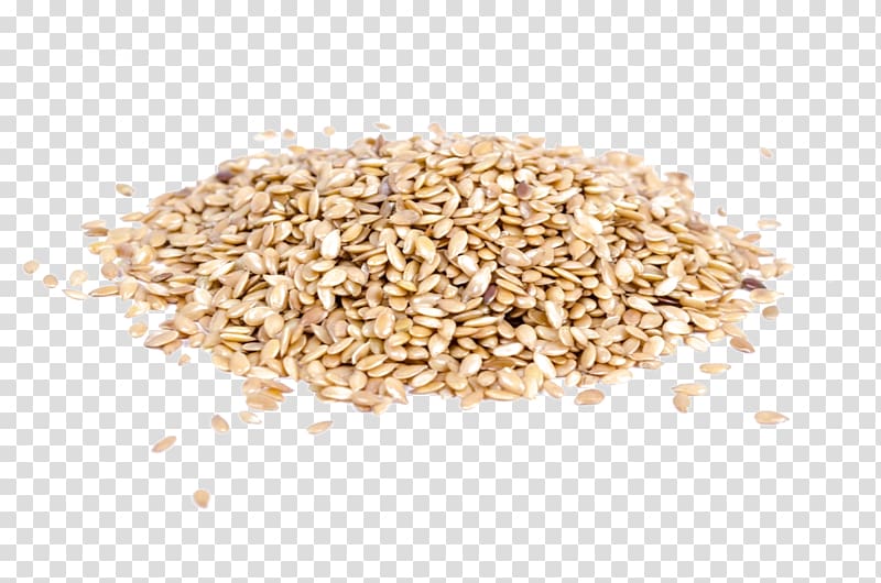 bunch of white sesame seeds transparent background PNG clipart