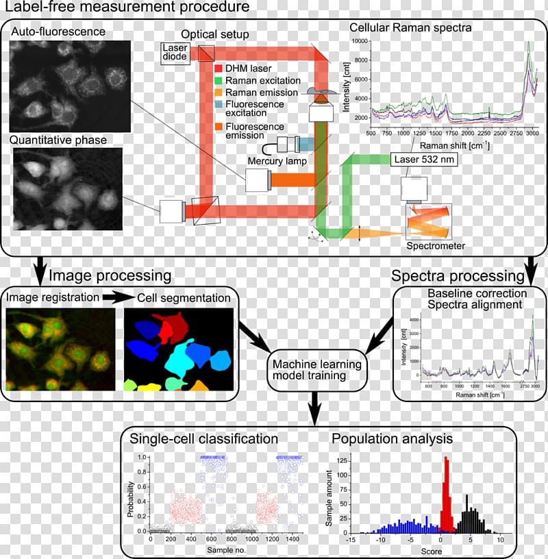 Measurement Cell Research Machine learning Microscope, Surface-enhanced Raman Spectroscopy transparent background PNG clipart