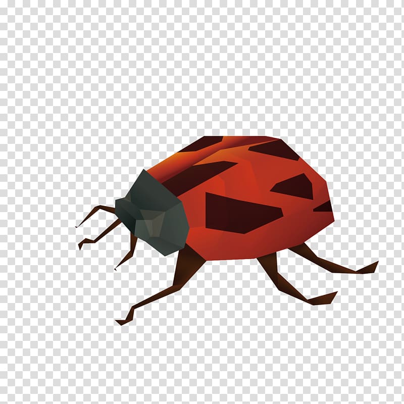 Insect Ladybird Euclidean , red three-dimensional seven-star ladybug decoration transparent background PNG clipart