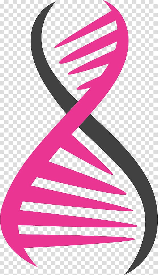 DNA transparent background PNG clipart