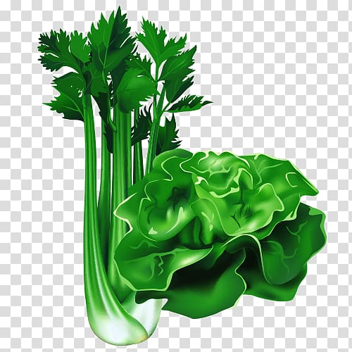 Leaf vegetable Cartoon Food, Cartoon vegetables transparent background PNG clipart