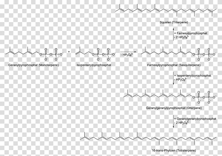 Terpene Biosynthesis Geranyl pyrophosphate Terpenoid Terpinene, Gewinnung transparent background PNG clipart