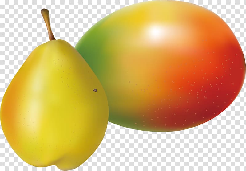 Pyrus nivalis , Pear material transparent background PNG clipart