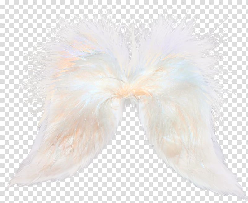 Feather Flight Bird, White feathers transparent background PNG clipart