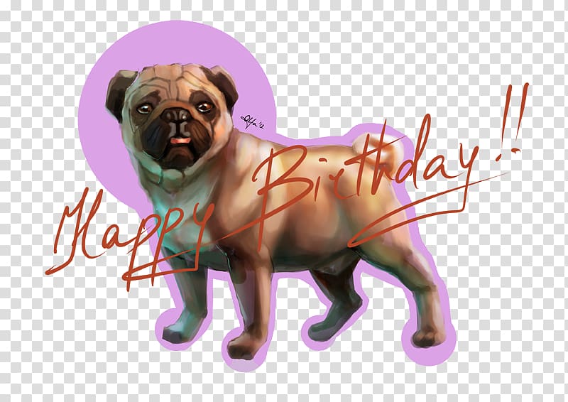 Pug Puppy love Dog breed Toy dog, puppy transparent background PNG clipart