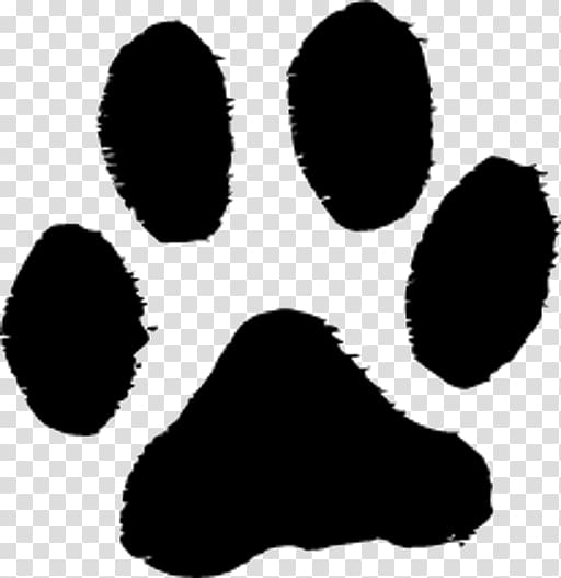 Labrador Retriever Cat Paw Puppy Tiger, Cat transparent background PNG clipart