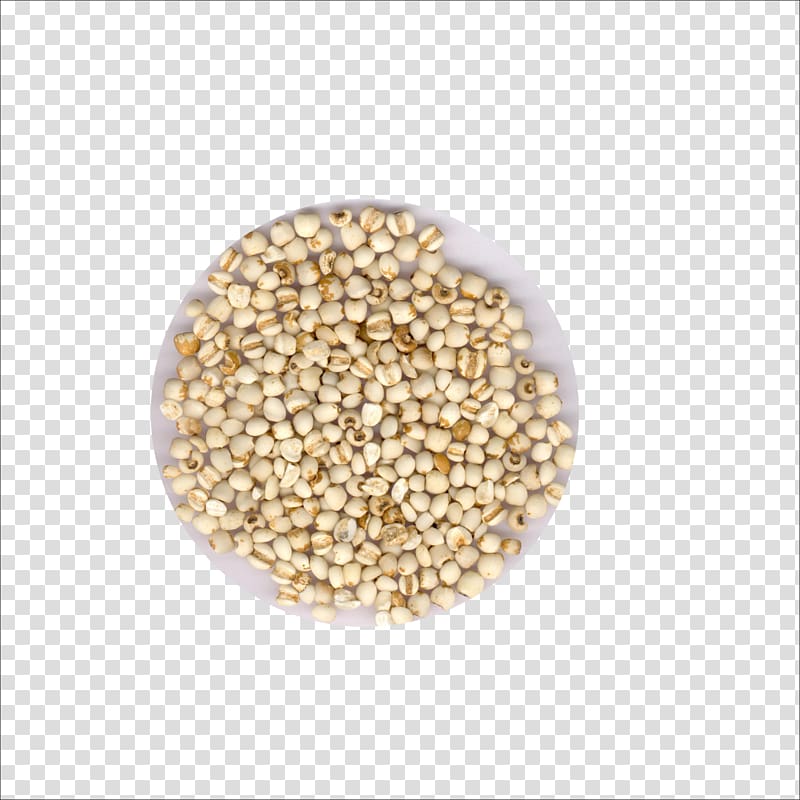 Sorghum Adlay Seed Extract Barley, Barley transparent background PNG clipart