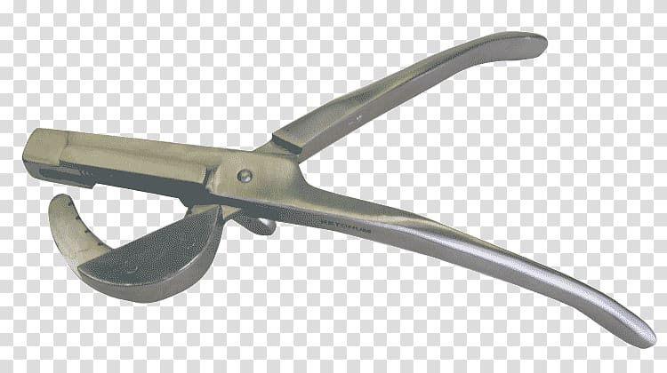 Diagonal pliers Nipper Angle, poultry and live transparent background PNG clipart