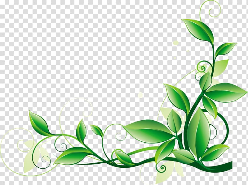 Green Color , leaf frame transparent background PNG clipart