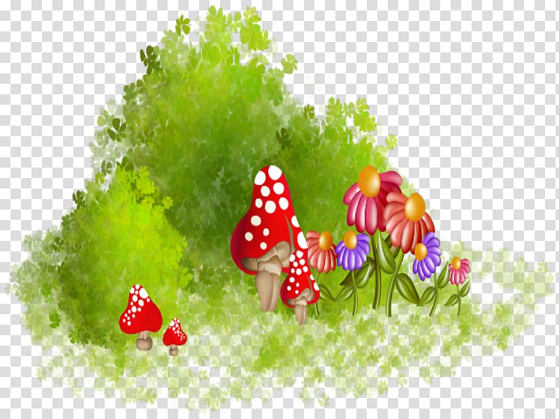 Flower Mushroom Color, Color flower grass mushroom transparent background PNG clipart