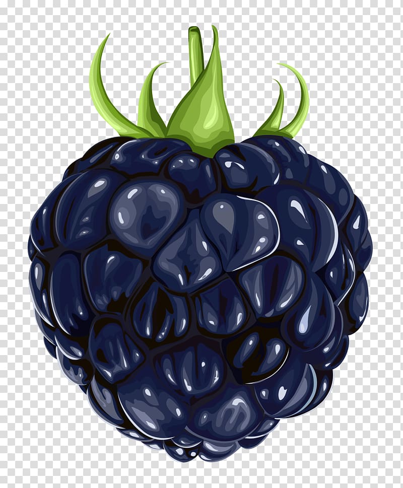 BlackBerry Fruit , Free Blackberry transparent background PNG clipart