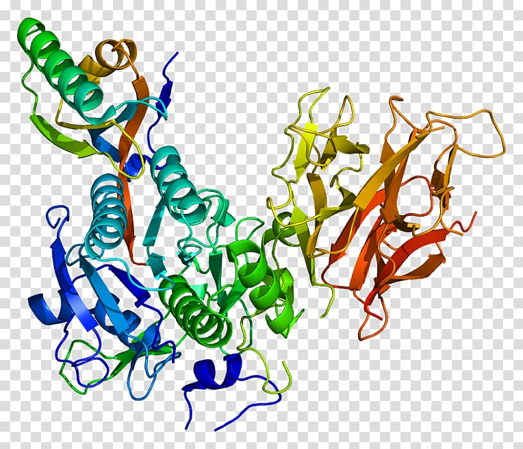 PCSK9 Bococizumab Protein Alirocumab Statin, Cartoon Test Tubes transparent background PNG clipart