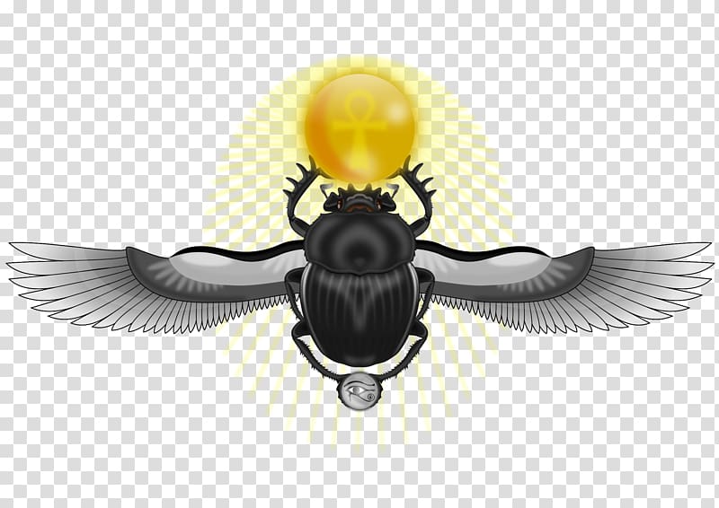 Beetle Ancient Egypt Eye of Horus Scarab, beetle transparent background PNG clipart