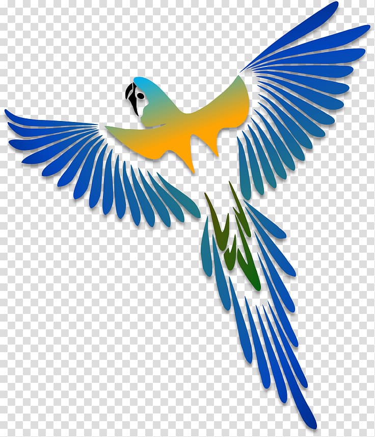 Parrot Bird Stencil Drawing, parrot illustration transparent background PNG clipart