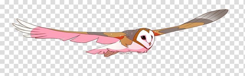 Beak Bird of prey Wing Feather, Barn owl transparent background PNG clipart