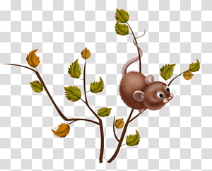 Watercolor painting , design transparent background PNG clipart thumbnail