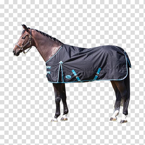 Horse blanket Equestrian Gallop Horze, horse transparent background PNG clipart