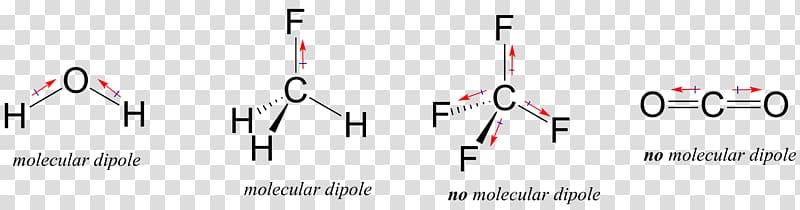 Bond dipole moment Covalent bond Hydrogen bond Chemical bond, polar biology transparent background PNG clipart