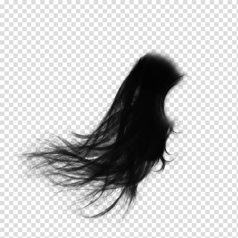 elegant scattering hair transparent background PNG clipart