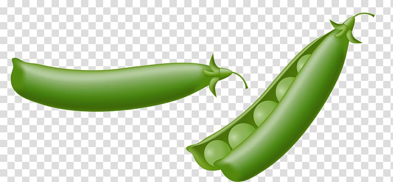 Pea Drawing Illustration, Vegetable peas transparent background PNG clipart